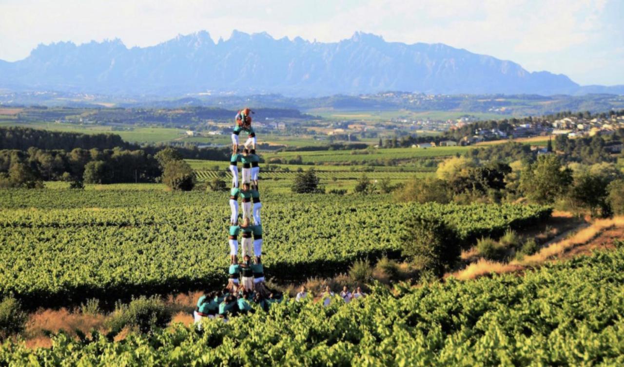 Tina De Vila, En La Capital Del Vino 维拉弗兰卡宾纳戴斯 外观 照片